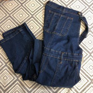 Planet Motherhood Maternity Overalls